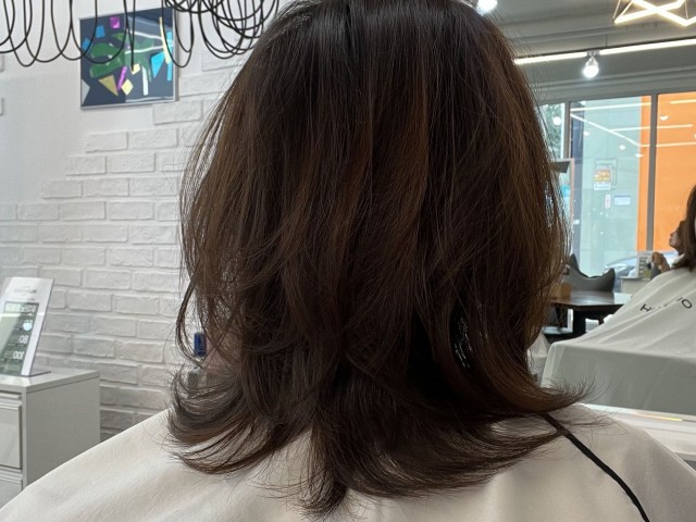 청주 복대동 미용실 미디움 레이어드컷