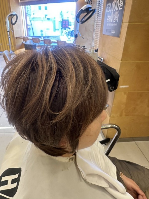 애쉬브라운 부분 하이라이트 진행1