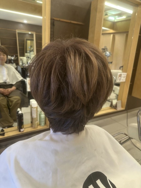 애쉬브라운 부분 하이라이트 진행3