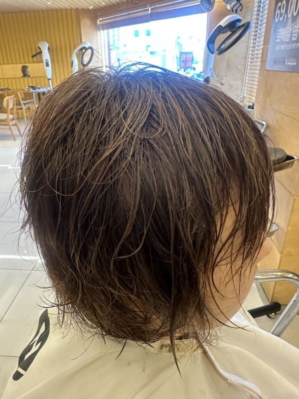 애쉬브라운 부분 하이라이트 진행2