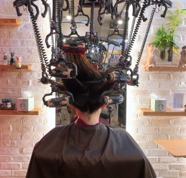 레이어드컷 웨이브펌 미디움헤어 여신머리 추천5